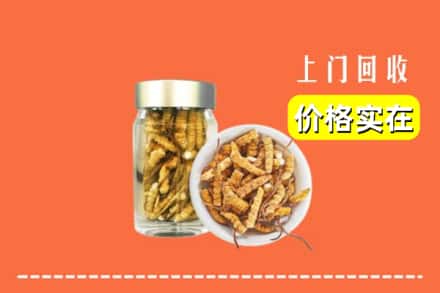 新沂市回收散虫草