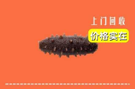 新沂市回收海参