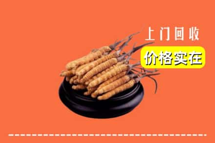 新沂市回收冬虫夏草